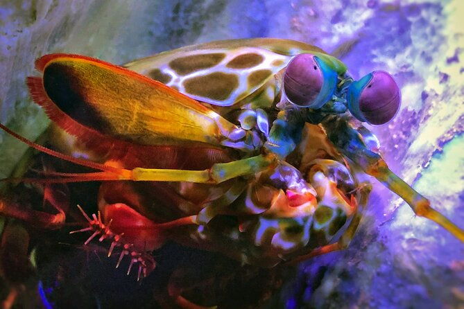 sea-life-michigan-aquarium-admission-ticket-2