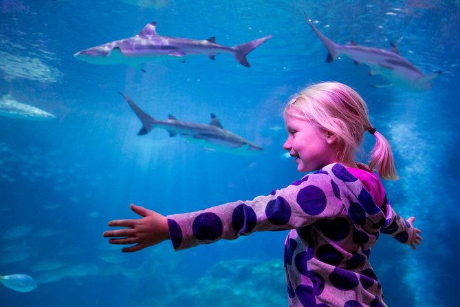 sea-life-oberhausen-admission-ticket