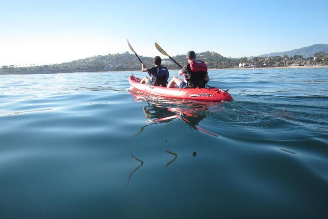 sea-lion-kayak-tour-santa-barbara-harbor-2