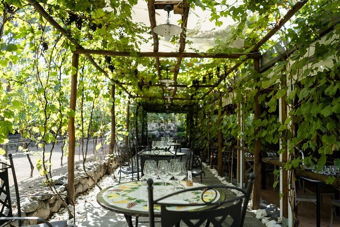 seafood-lunch-with-wine-tasting-tour-on-a-golf-cart
