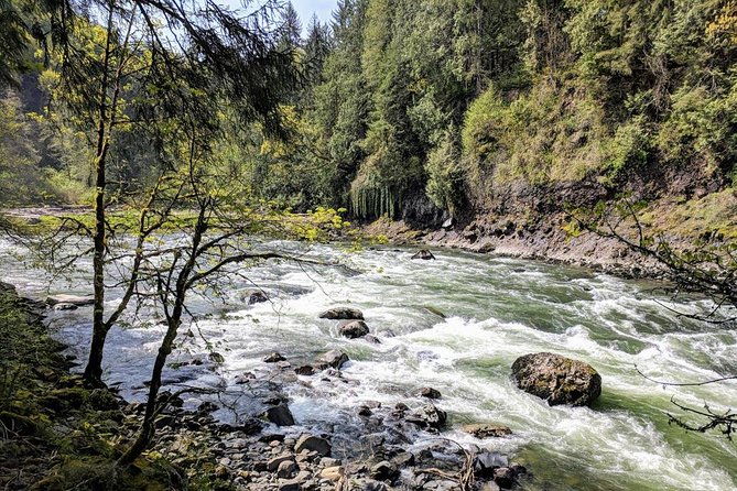 seattle-wine-and-waterfall-luxury-small-group-day-tour-with-lunch