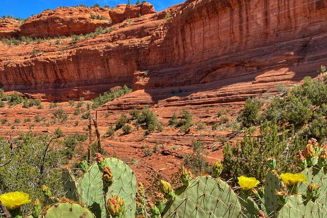 sedona-sacred-canyons-loop-hike-with-a-private-guide-2