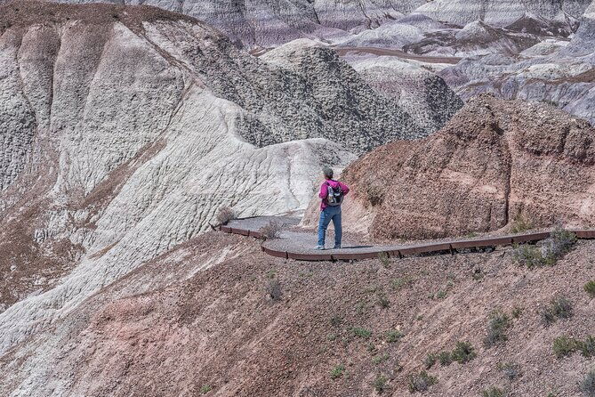 self-guided-audio-driving-tour-in-petrified-forest-national-park