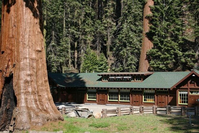 self-guided-audio-driving-tour-in-sequoia-and-kings-canyon