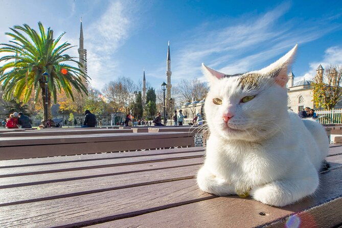 self-guided-city-audio-tour-of-istanbul