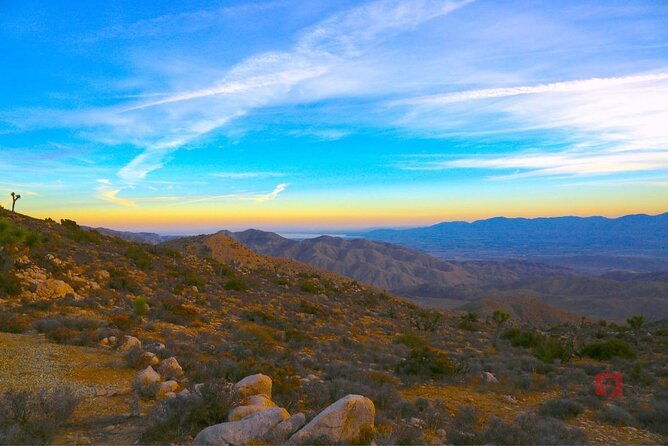 self-guided-driving-audio-tour-in-joshua-tree-national-park