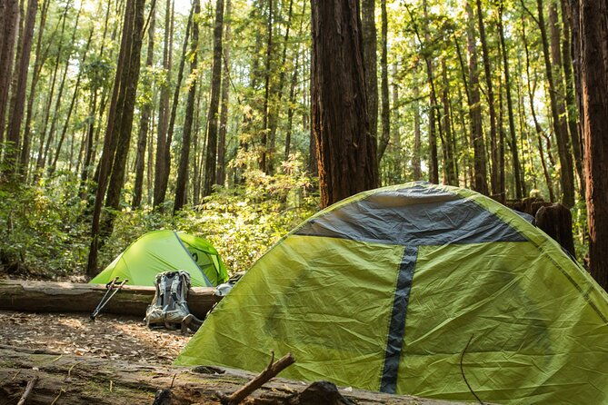 self-guided-driving-audio-tour-of-redwood-national-and-state-park