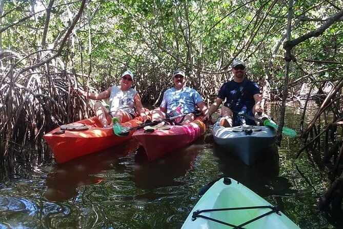 self-guided-kayaking-manatee-and-dolphin-tour