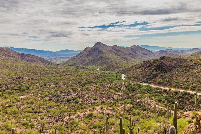 self-guided-saguaro-national-park-driving-tour