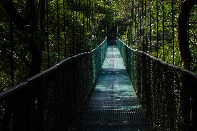 selvatura-park-combo-tour-from-monteverde