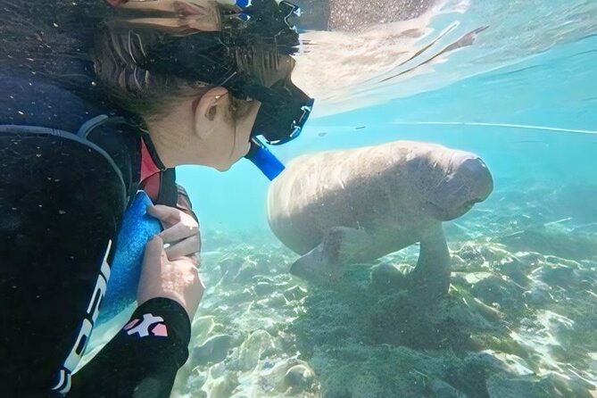 semi-private-manatee-swim-tour-with-guide-photos-included