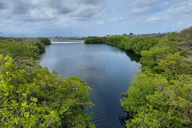 semi-private-road-to-san-nicolas-culture-heritage-by-e-bike-aruba
