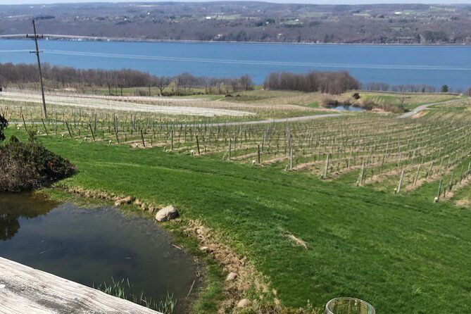 seneca-lake-south-wine-tastings-tour