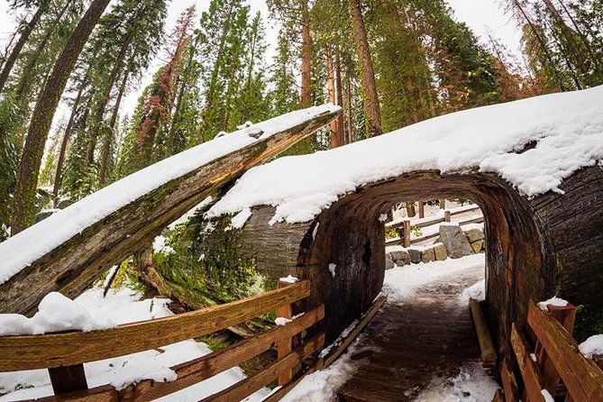 sequoia-national-park-adventure-from-tulare