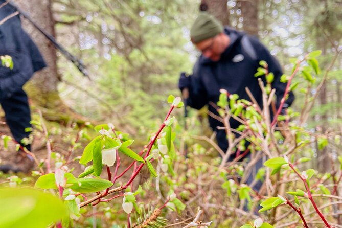 seward-wilderness-hiking