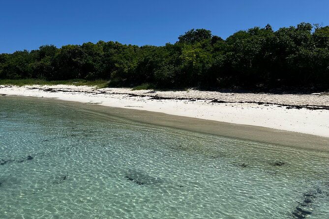 share-boat-trip-discover-green-island-and-sea-turtles-half-day