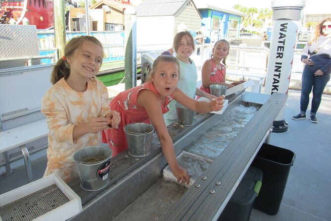 shark-teeth-and-shells-dolphin-and-shelling-tour-boat-clearwater-beach