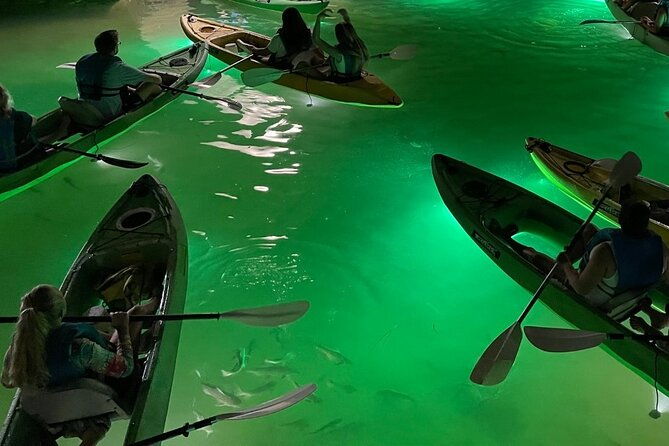 sharkeys-glass-bottom-fish-feeding-led-night-tour-in-clearwater