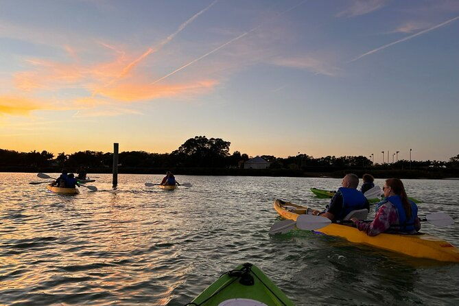 sharkeys-glass-bottom-fish-feeding-led-night-tour-in-sarasota