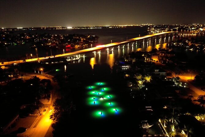 sharkeys-glass-bottom-fish-feeding-led-night-tour-st-pete-beach