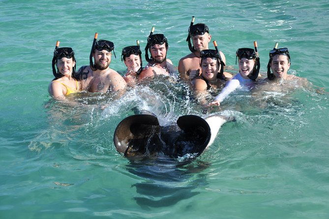 sharks-stingrays-encounter-and-small-boat-ride-from-punta-cana