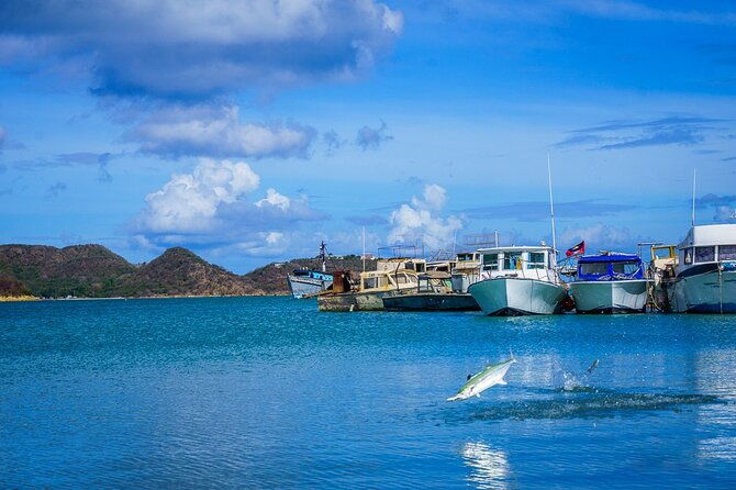shore-excursion-city-of-st-johns-sightseeing-tour