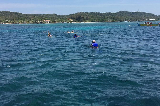 shore-excursion-roatan-wildlife-eco-park-and-two-stop-snorkel