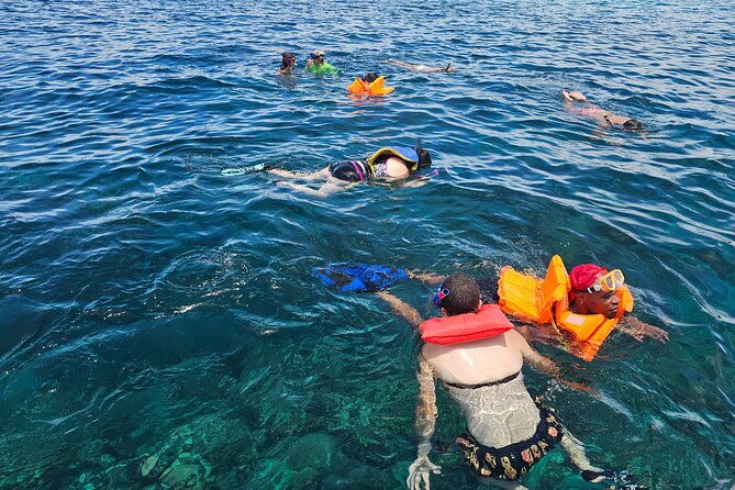 shore-excursion-roatan-zip-line-wildlife-eco-park-and-snorkel