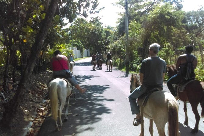 short-excursion-horseback-riding-tours-on-the-beach-and-mountain