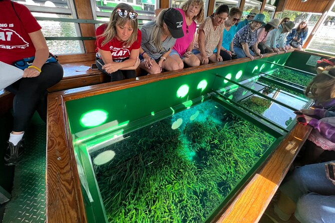 silver-springs-and-glass-bottom-boat-tour-from-orlando