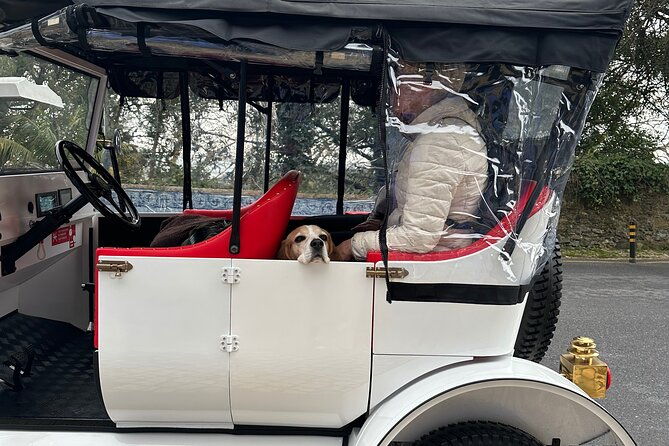 sintra-tour-by-electric-tuk-tuk-2
