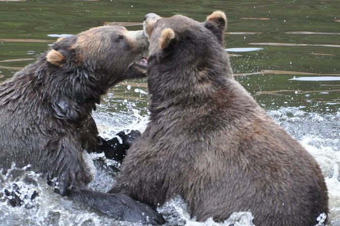 sitka-sightseeing-tour-including-fortress-of-the-bear-and-totem-poles
