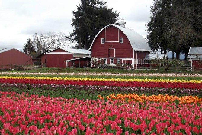 skagit-valley-tulip-festival-day-trip-from-seattle