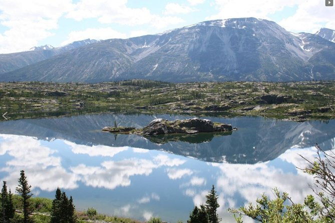 skagway-shore-excursion-yukon-dog-sledding-and-sightseeing-tour