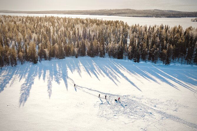 ski-trekking-safari-in-lapland