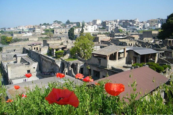 skip-the-line-herculaneum-ruins-ticket