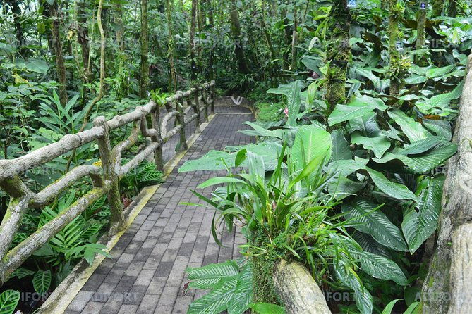 skip-the-line-la-fortuna-waterfall-admission-ticket