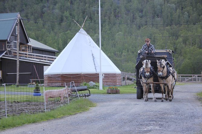 sleigh-ride-w-snacks-experience-arctic-farm-life