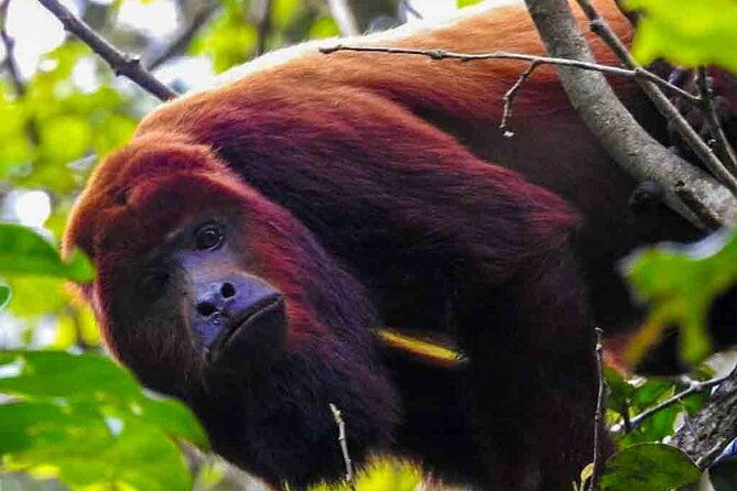 slow-travel-from-quito-to-cuyabeno-amazon