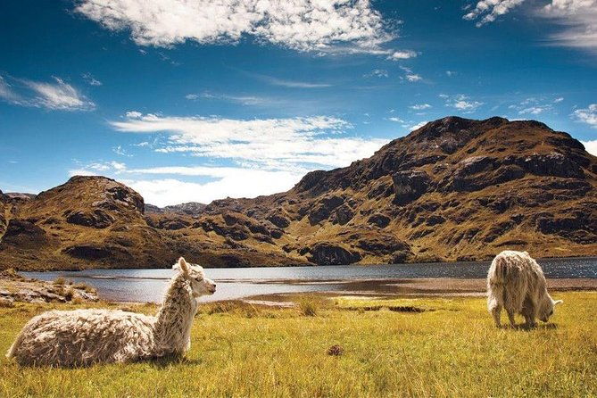 slow-travel-through-cotopaxi-quilotoa-banos-and-amazon-rainforest