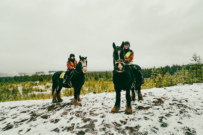 small-group-arctic-circle-horse-riding-from-rovaniemi
