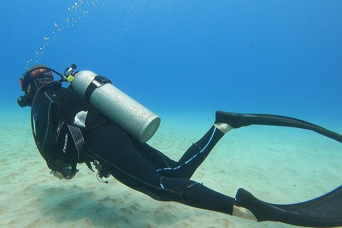 small-group-discover-scuba-diving-from-electric-beach-with-photos