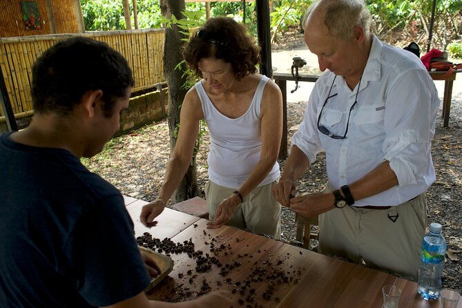 small-group-guayaquil-and-cocoa-farm-full-day-tour