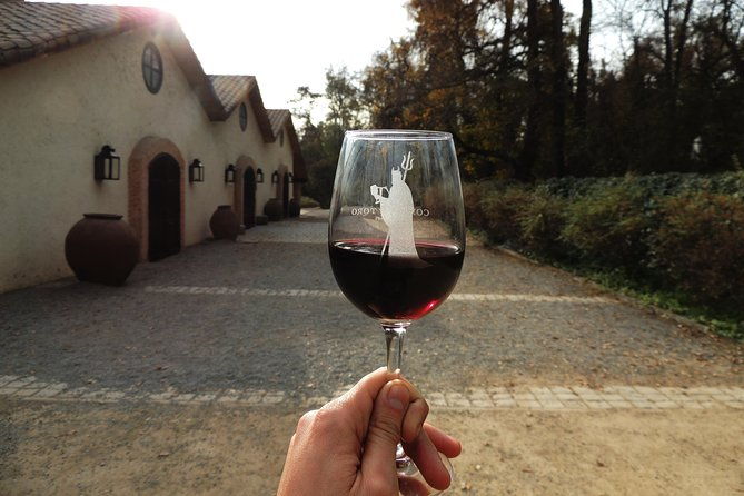 small-group-maipo-vineyards-full-day-experience-with-optional-lunch