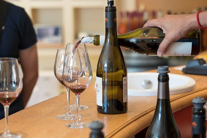 small-group-marseille-shore-excursion-avignon-chateauneuf-du-pape-wine-tour-2