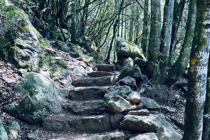 small-group-mountain-day-trip