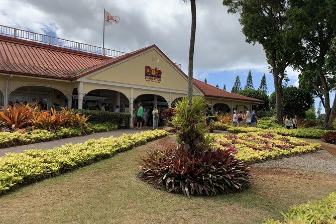 small-group-oahu-tour-dole-plantation-northshore-sunset-beach