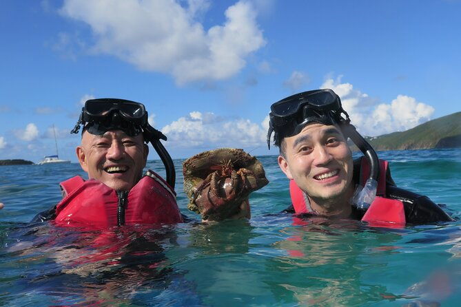 small-group-sea-turtle-tour-guaranteed-to-see-turtles