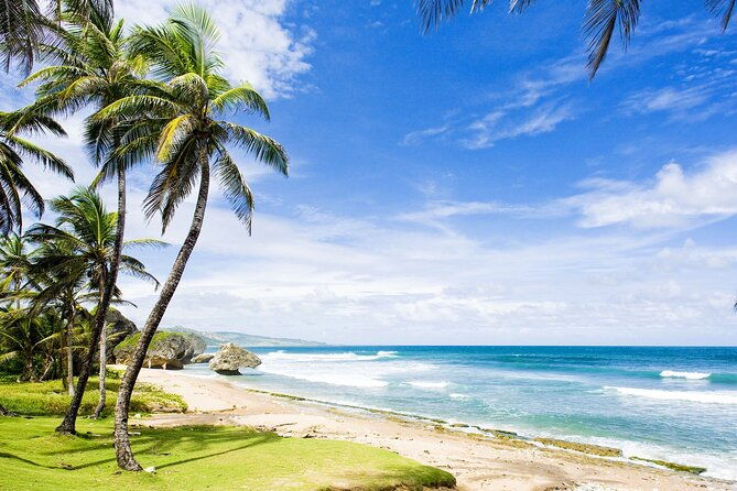 small-group-story-of-rum-tour-in-its-birthplace-of-barbados