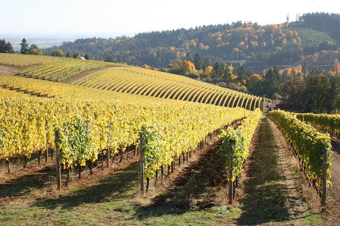 small-group-willamette-valley-wine-tour-from-portland-tasting-fees-included